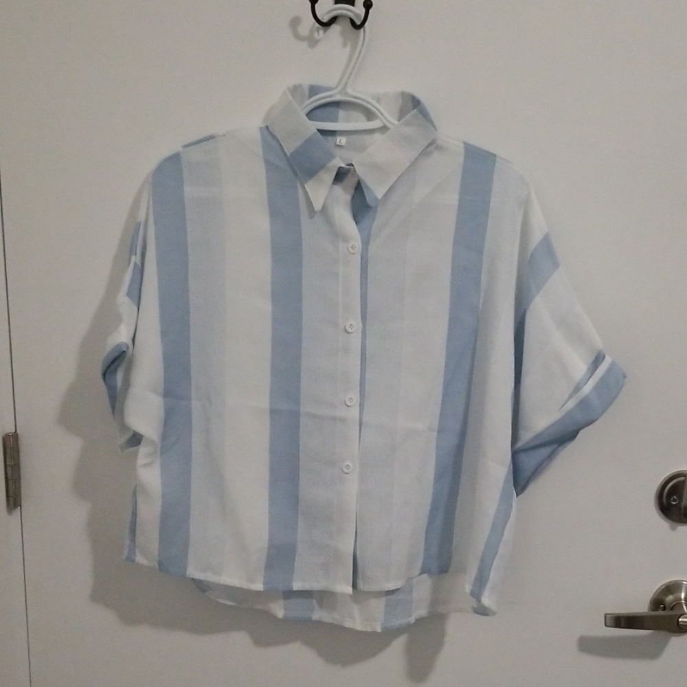 Blue and white crop top